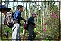 2011-12-18 11-03-41往大籠頂途中.JPG